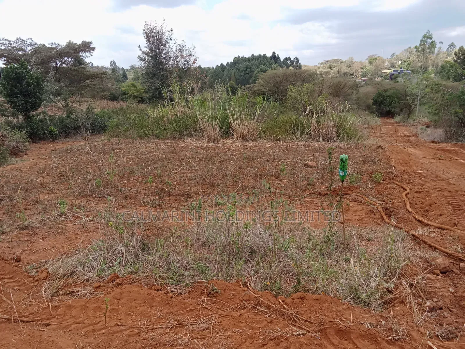 Deal Quarter Acre Plots in Karen View, Lower Merisho