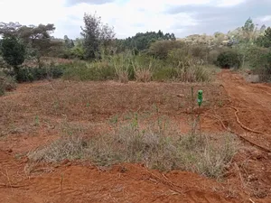 Deal Quarter Acre Plots in Karen View, Lower Merisho