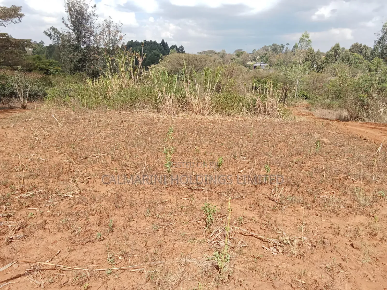 Deal Quarter Acre Plots in Karen View, Lower Merisho