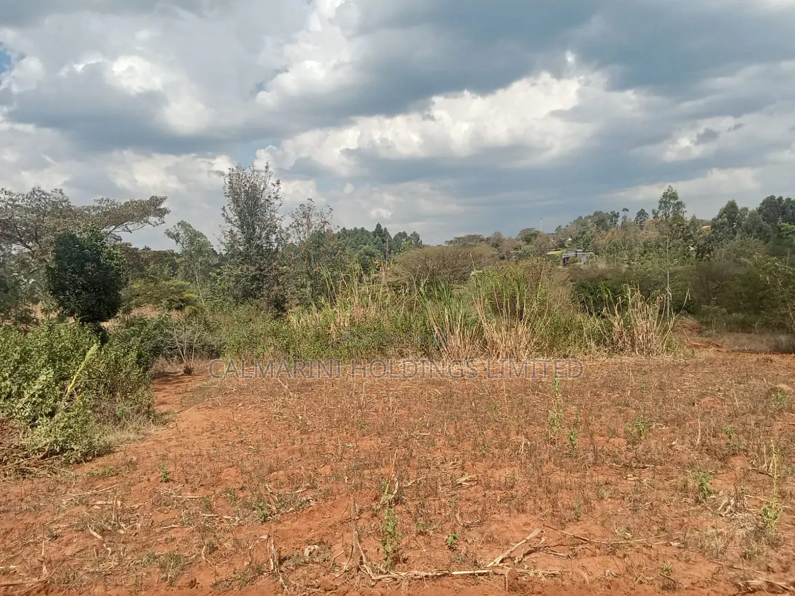 Deal Quarter Acre Plots in Karen View, Lower Merisho