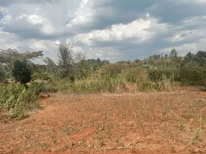 Deal Quarter Acre Plots in Karen View, Lower Merisho