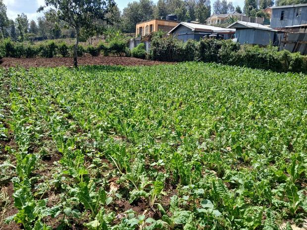 Deal Priced 50 by 100 Plot in Kaurrai, Upper Matasia - thumbnail 3