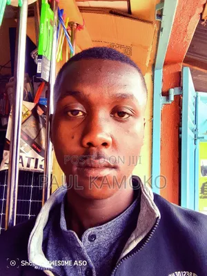 Paul Githua Kamoko Cv