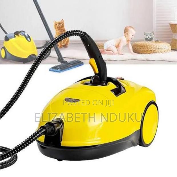 Professional Grade Steam Cleaner