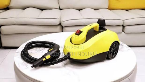 2000w Steam Cleaner - main view