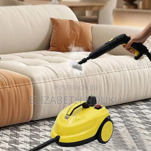 30 Secong Heat Up Steam Cleaner - main view