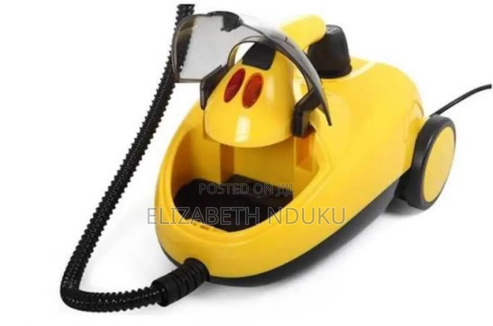 Continuous Steam Flow Steam Cleaner