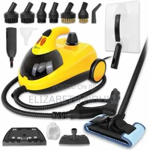All Floors Steam Cleaner