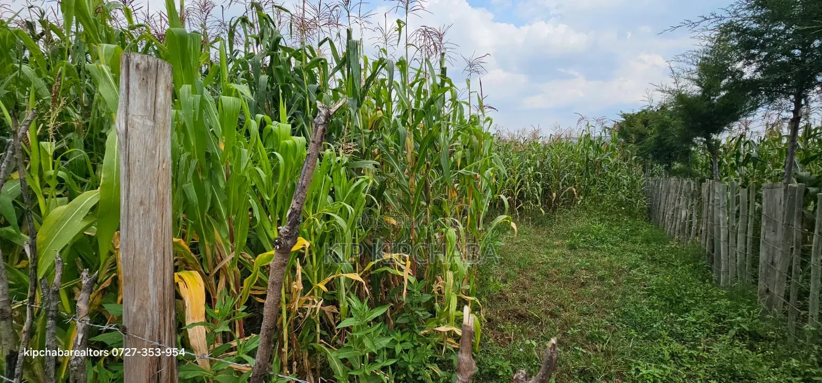 Commercial Plot For Sale In Eldoret Mailli Nne Flyover Righthand Side
