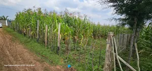 Commercial Plot For Sale In Eldoret Mailli Nne Flyover Righthand Side