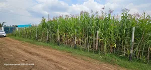 Commercial Plot For Sale In Eldoret Mailli Nne Flyover Righthand Side