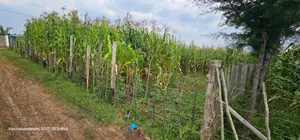 Commercial Plot For Sale In Eldoret Mailli Nne Flyover Righthand Side