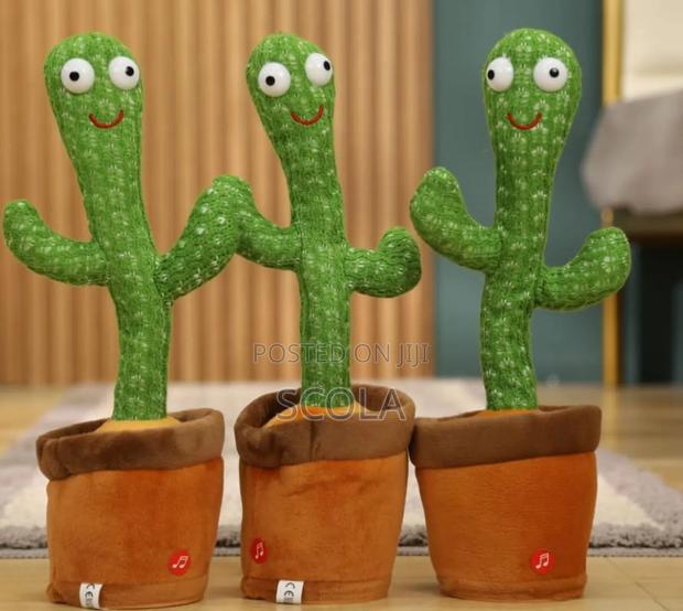 *Dancing Cactus at 1100 Available at the Shop