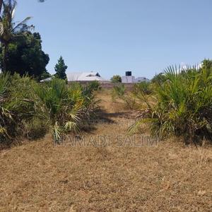 Half an Acre Plot for Sale in Tiwi - thumbnail 2