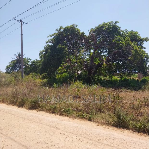 Half an Acre Plot for Sale in Tiwi - thumbnail 3
