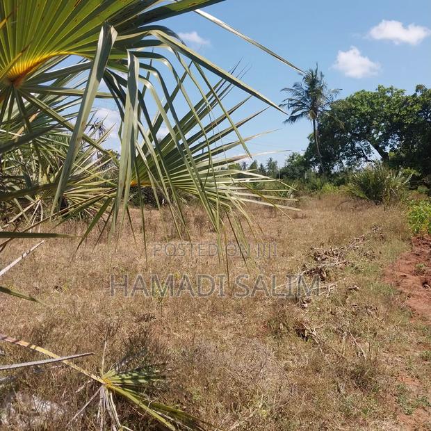 Half an Acre Plot for Sale in Tiwi - thumbnail 4