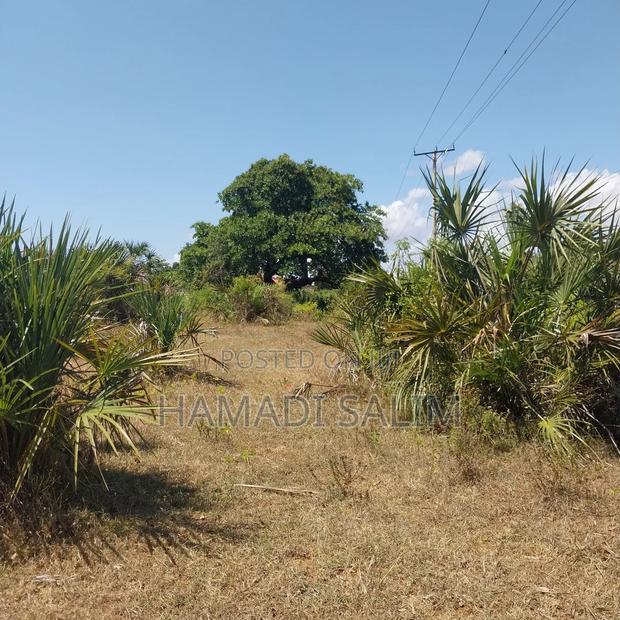 Half an Acre Plot for Sale in Tiwi - thumbnail 6