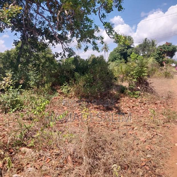 Half an Acre Plot for Sale in Tiwi - thumbnail 8