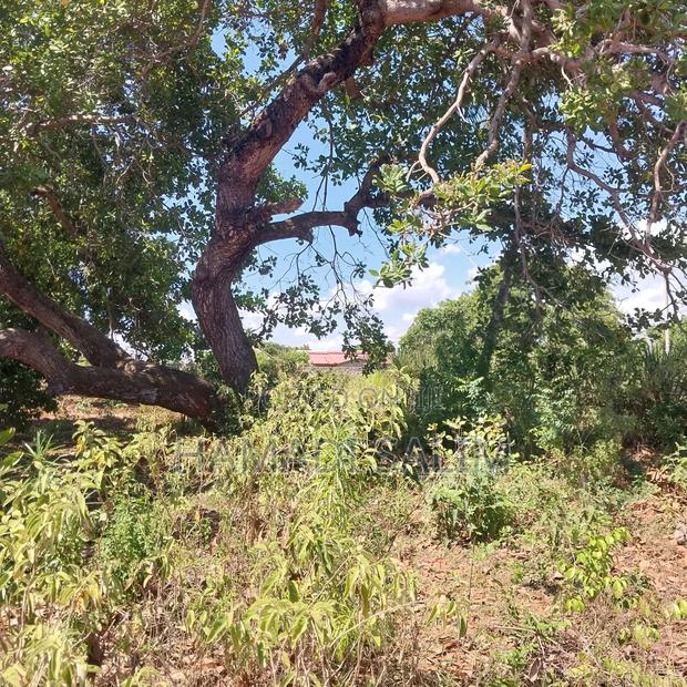 Half an Acre Plot for Sale in Tiwi - thumbnail 9