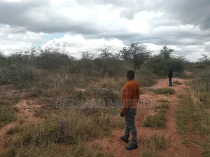 9no 50x100 Plots At Matuu