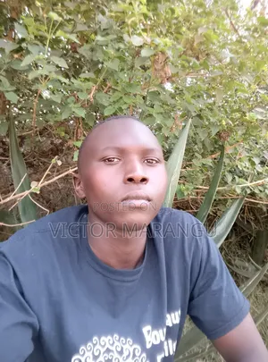 Farming and Farm Maintenance