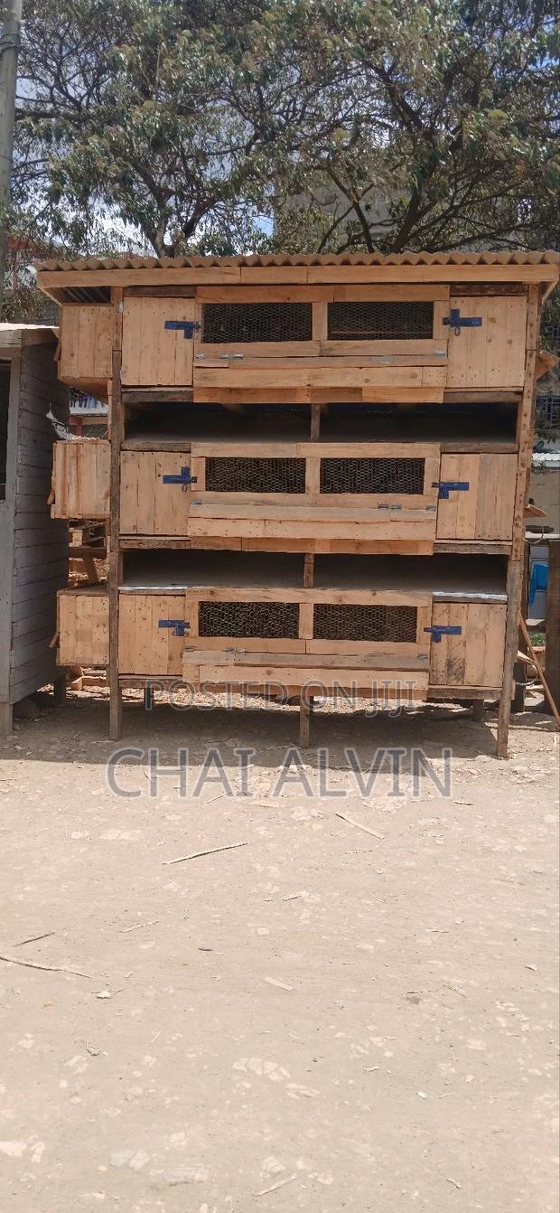 Chicken House, Chicken Coop, Poultry House