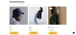 Ecommerce Website Development – Ready in 5–7 Days