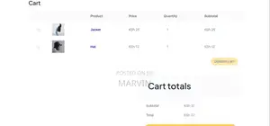 Ecommerce Website Development – Ready in 5–7 Days