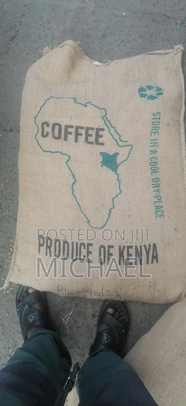 Gunny Bugs - thumbnail 2