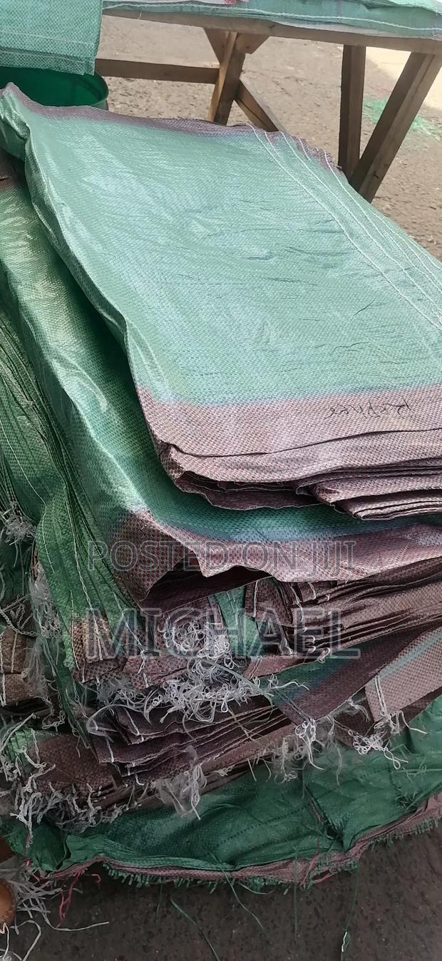 Gunny Bugs - main view