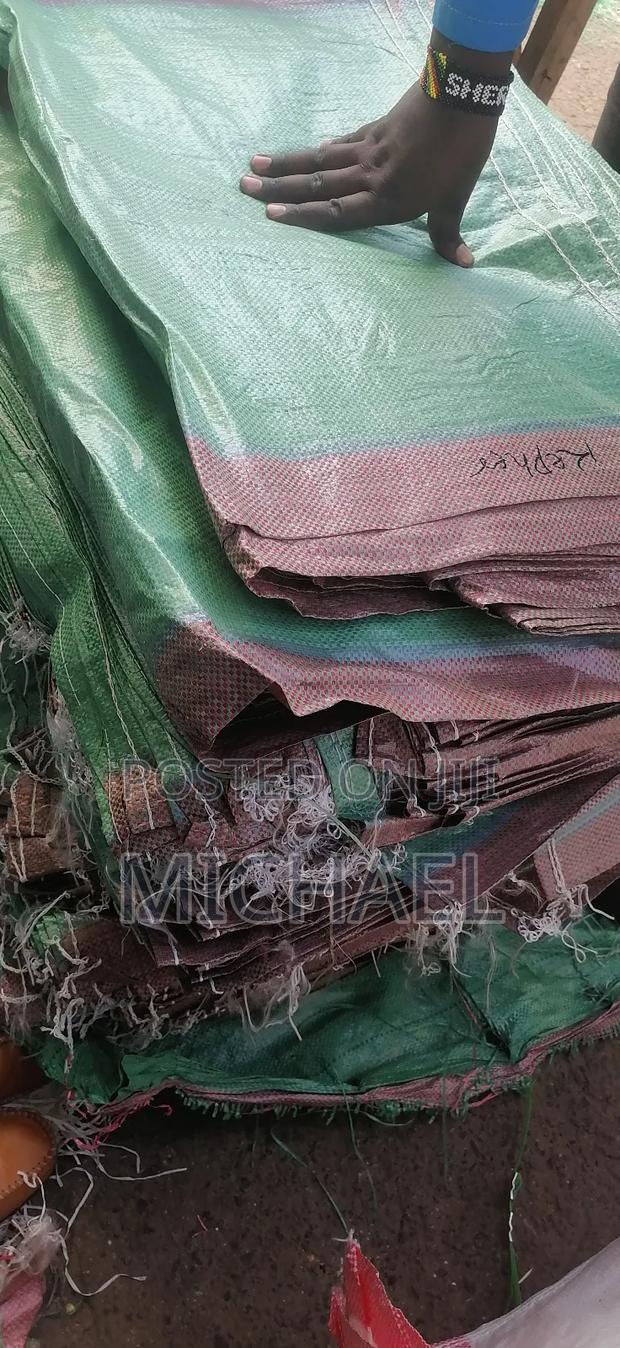 Gunny Bugs - thumbnail 2