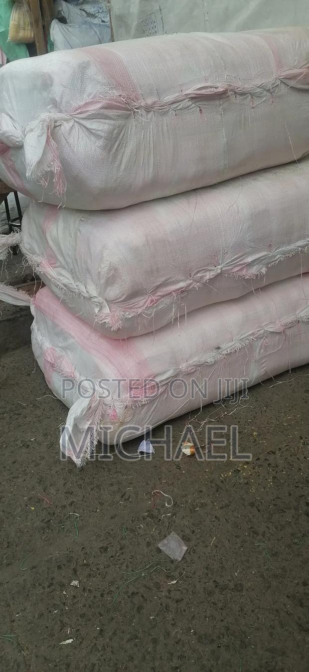 Gunny Bugs - thumbnail 3