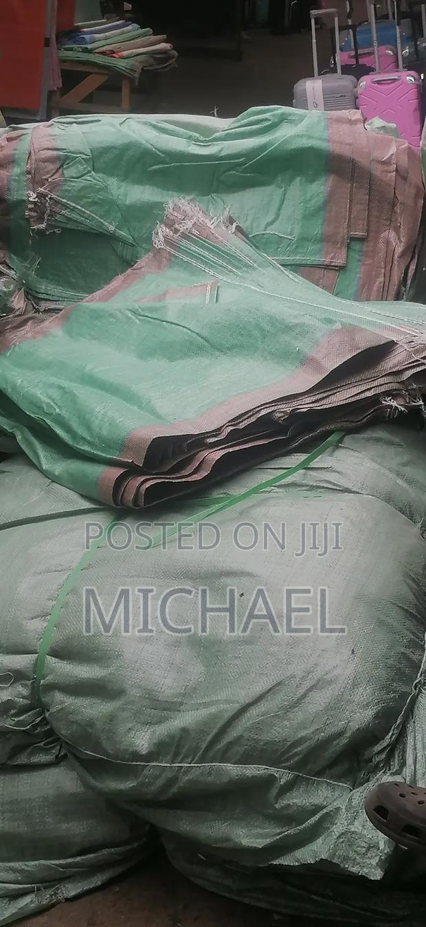 Gunny Bugs - thumbnail 4