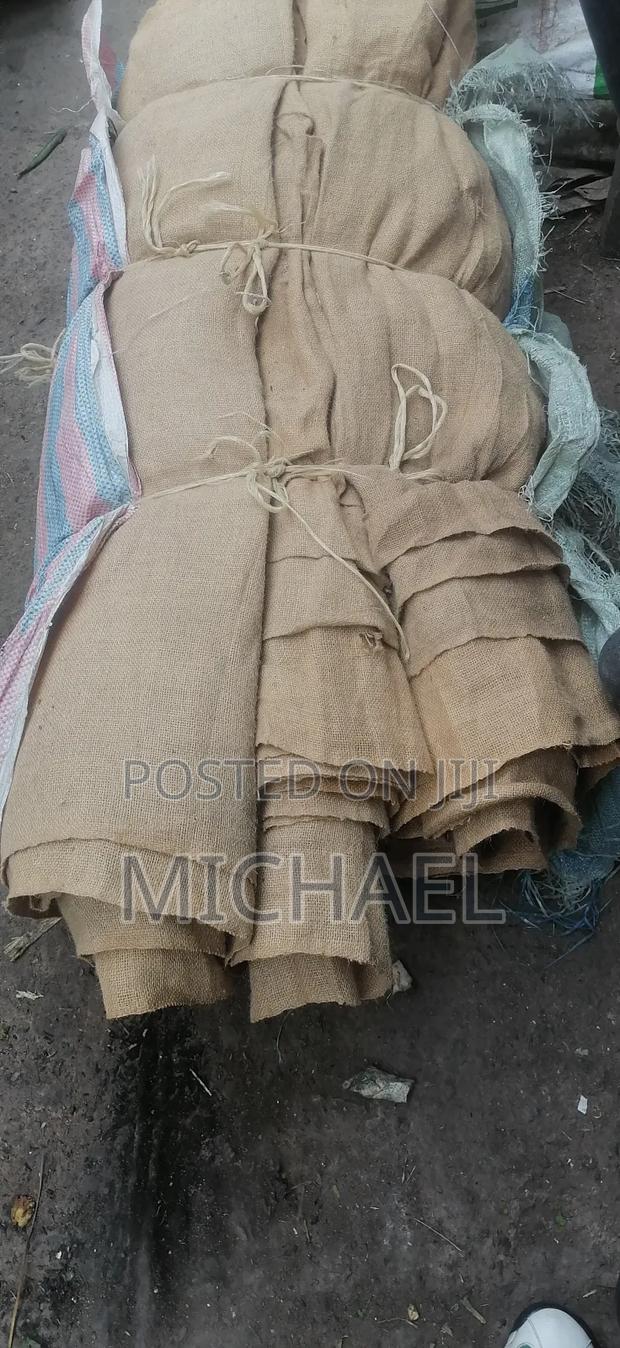 Juty Bugs/ Makonge Bugs - thumbnail 11