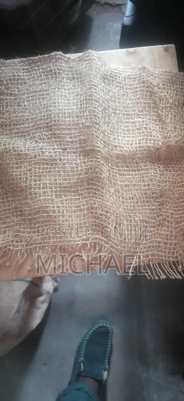 Juty Bugs/ Makonge Bugs - thumbnail 13