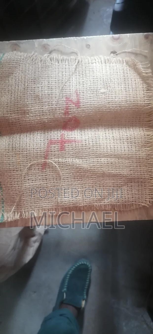 Juty Bugs/ Makonge Bugs - thumbnail 14