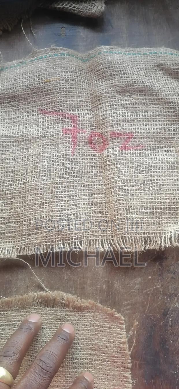 Juty Bugs/ Makonge Bugs - thumbnail 15