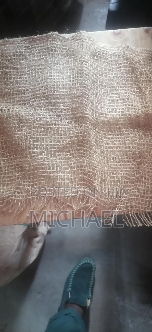 Juty Bugs/ Makonge Bugs - thumbnail 17