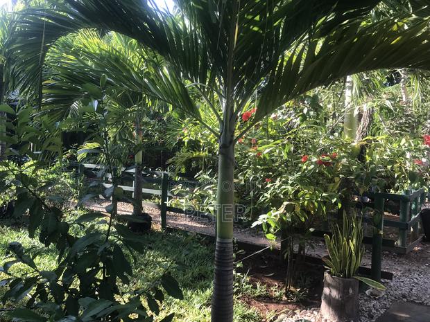 Studio Apartment - thumbnail 9