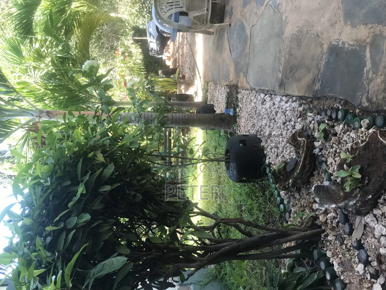 Furnished Studio Apartment