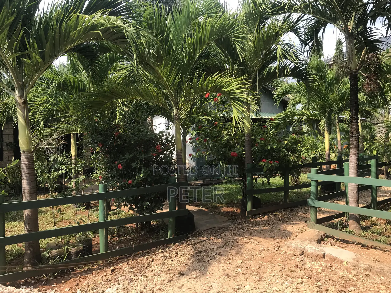 Furnished Studio Apartment