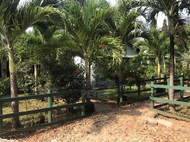 Studio Apartment - thumbnail 11