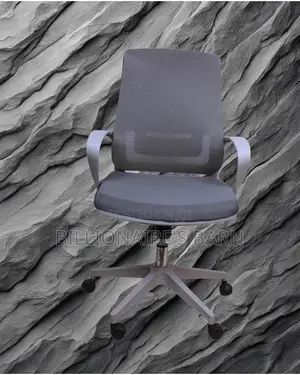 Grey Ergonomic Mesh Office Chair (Orthopedic) — Restocked!