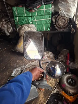 Caravan Side Mirror