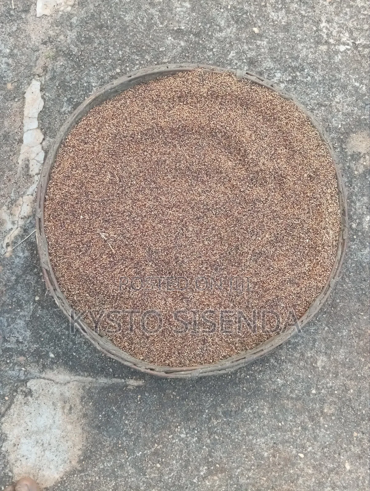 Millet (Wimbi) for Sale
