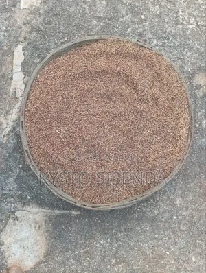 Millet (Wimbi) for Sale