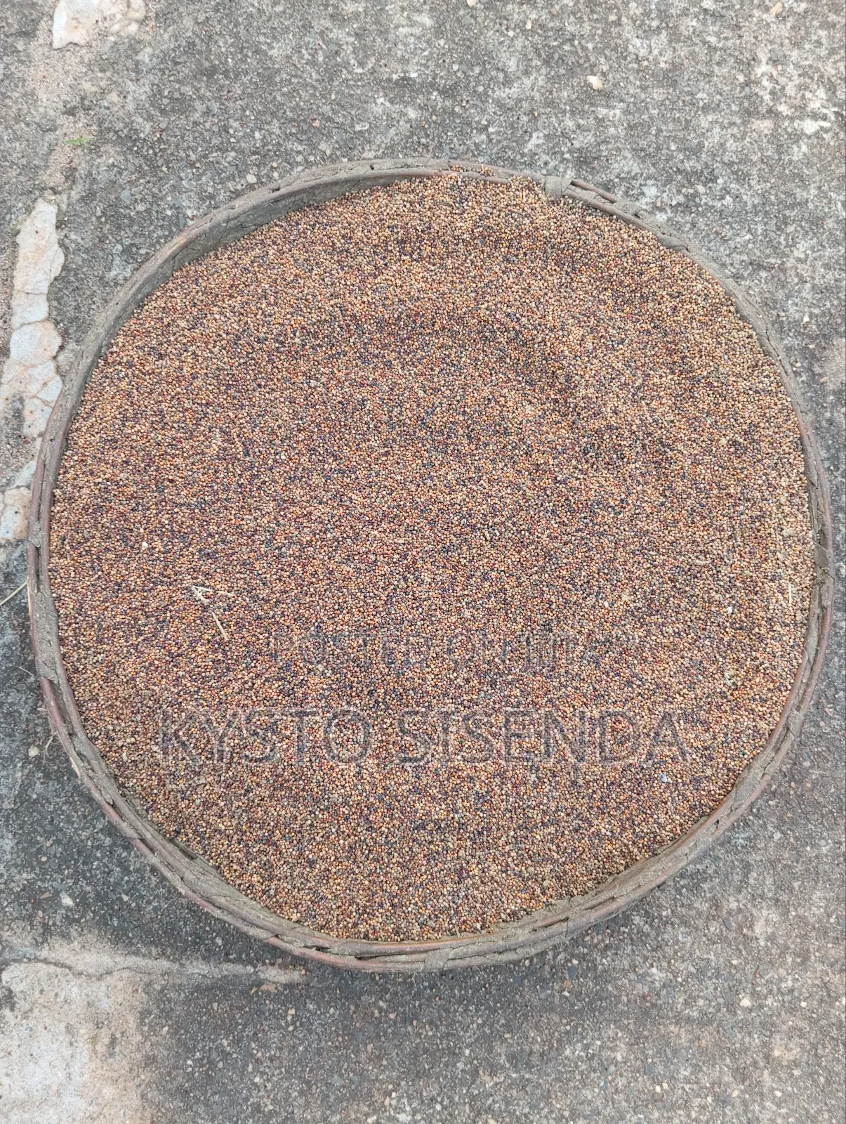 Millet (Wimbi) for Sale