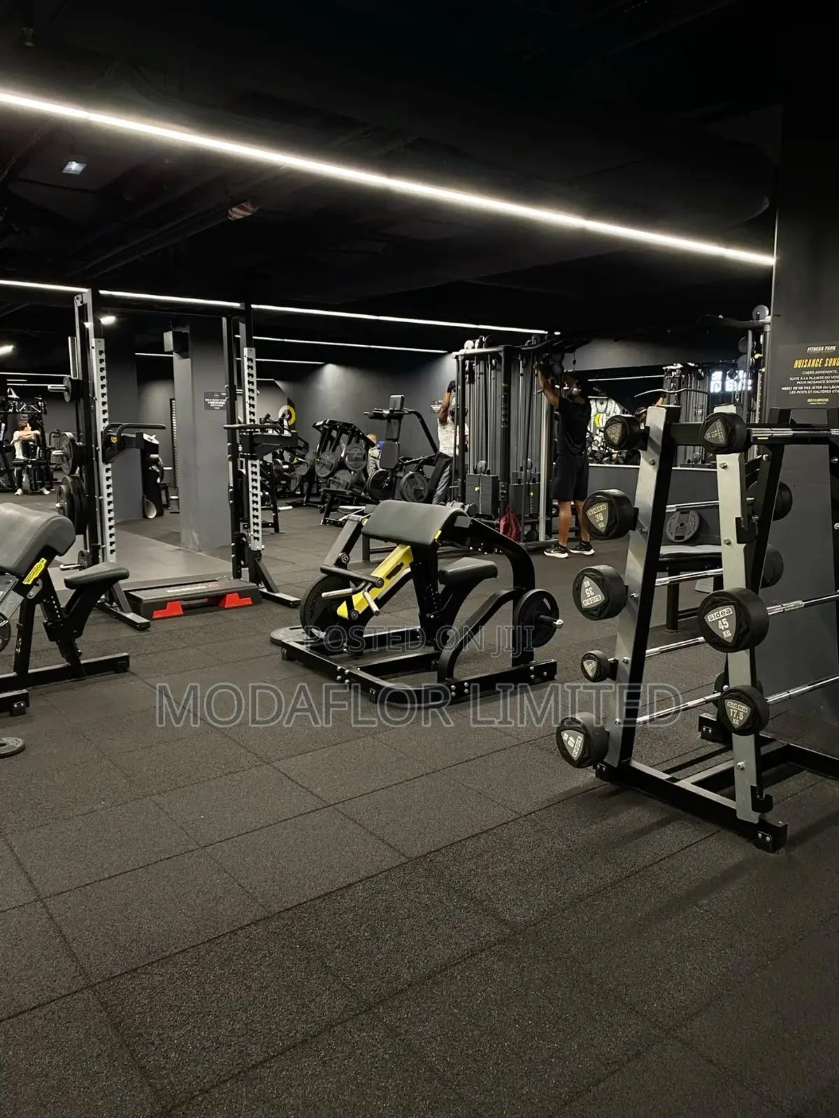 Transform Your Workout Space Today- Interlocking Gym Carpet