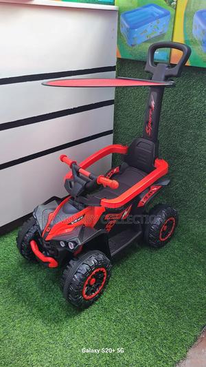 Baby Sunny Push Car With Canopy - thumbnail 2