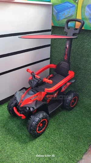 Baby Sunny Push Car With Canopy
